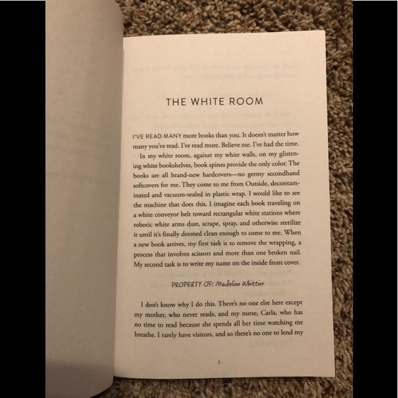 Everything everything book - Picture 4 of 4